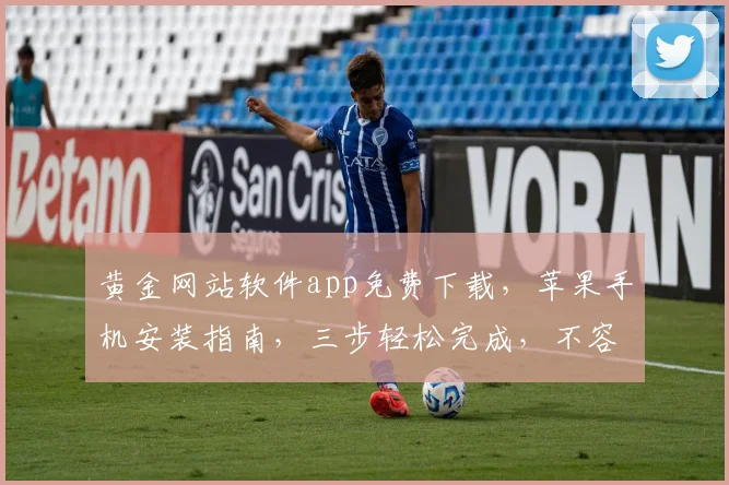 黄金网站软件app免费下载，苹果手机安装指南，三步轻松完成，不容错过