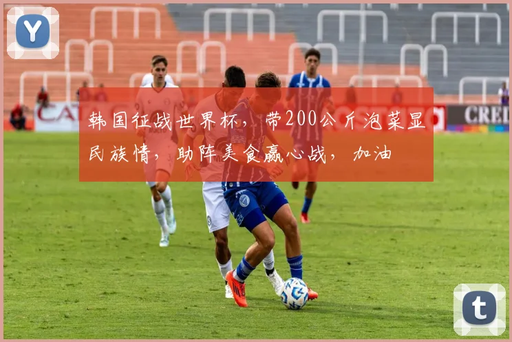 韩国征战世界杯，带200公斤泡菜显民族情，助阵美食赢心战，加油