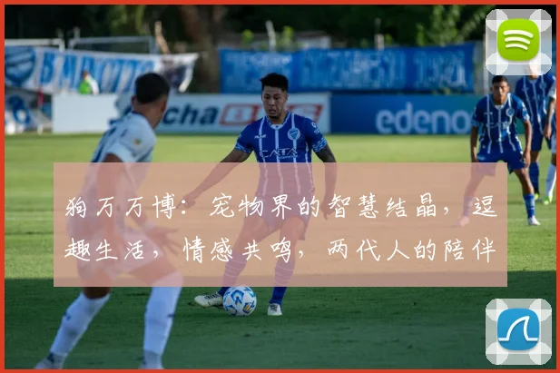 狗万万博：宠物界的智慧结晶，逗趣生活，情感共鸣，两代人的陪伴